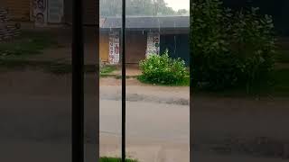 Rain for today 🌧️😀 ||Odia status video||#love #music #rain