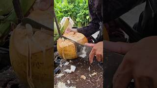 Red coconut cutting skills #coconut #streetfood #satisfying #shorts #viralvideo #short