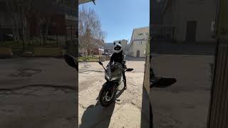 У меня мелкий ножка #moto #мотодевушка #motovlog