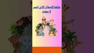 ألغاز المغامرة اختبار قدراتك ومهاراتك في التفكير الإبداعي #ألغاز #فوازير #مسابقات