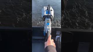 Epropulsion plus #fishing  #motorboat #carpfishing