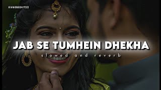 Jab Se Tumhein Dhekha ( Slow+Reverb ) Udit Narayan, Anuradha Paudwal | Akshaye K, Sonali B | #lofi