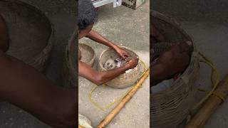 Poor people help! #snake #cobra #pets  #viralvideo #viralshorts