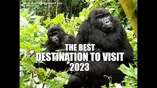 BEST TRAVEL DESTINATION -RWANDA'S VOLCANOES NATIONAL PARK (The  best place to see gorilla in Africa)