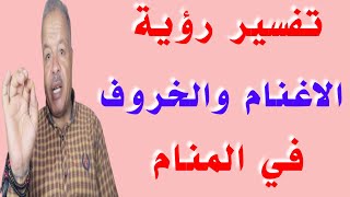 تفسير رؤية حلم الاغنام والخروف في المنام للرجل والعزباء والمتزوجه والمطلقه /أبوزيد الفتيحي