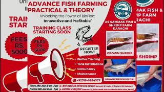 As Sammak farm Success journey #biofloc_fish_farming #shrimpfarming