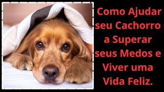 Como Ajudar seu Cachorro a Superar seus Medos e Viver uma Vida Feliz.