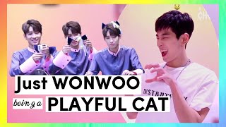 Just Wonwoo being a PLAYFUL CAT 🐈