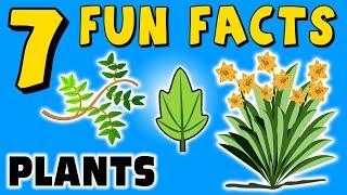 7 FUN FACTS ABOUT PLANTS! PLANT FACTS FOR KIDS! Learning Colors! Trees! Flowers! Funny! Sock Puppet!