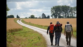 VIA FRANCIGENA 3: ARRAS - LAON