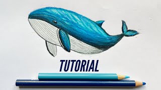 How To Draw a Whale | Color Pencil Tutorial