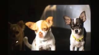 Beverly Hills chihuahua 2 police scene