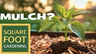 How to use Mulch in your Garden | Square Foot Gardening