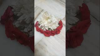 #Beautiful Flowers#అందమైన పువ్వులు#shorts#ytshorts💐🌹🌻🌼✨...