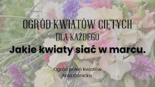 Jakie kwiaty siać do ogrodu kwiatów ciętych w marcu. Premiera mojego nowego ebooka!