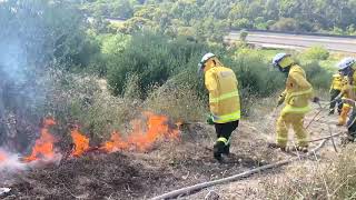 Prescribed Burn - Field River Valley