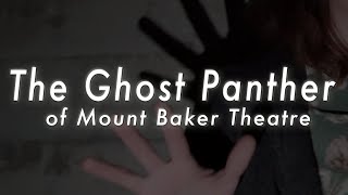 The Ghost Panther of Mount Baker Theatre