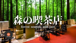 環境音＋JAZZ やさしい森の喫茶店☕ 川のせせらぎ 鳥のさえずり CAFE  JAZZ リラックス・作業・勉強など  - 作業用BGM