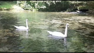 Vrelo Bosne - Sarajevo