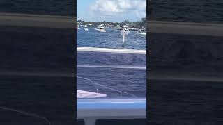 #viral #viralvideo #viralshorts #boat