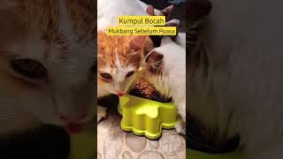 MAJIKAN Mukbang Sebelum Puasa