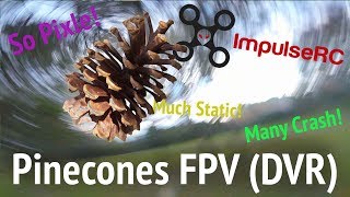 DVR funny Helix Compilation @ The Pinecones :D