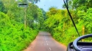 Skilled bus driving on narrow roads | Bus ride through the dense jungles of Dodamarg : Part 2