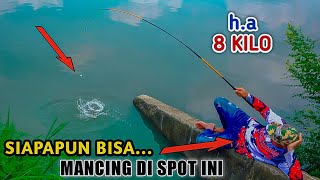 Percayalah,!! Mau Jungkir Balik Sekalipun Mancing Di Sungai ini Pasti Dapat ikan Besar