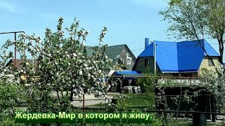 Жердевка- Мир в котором я живу.