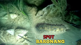 Night Spearfishing di Sarang ikan BARONANG