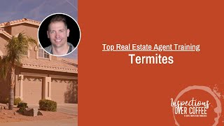 Top Real Estate Agent Training - Termites