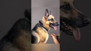 Process of my pastel portrait of "Cash" the German Shepherd ❤️.. #art #german #shepherd #shorts