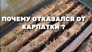 ПОЧЕМУ ОТКАЗАЛСЯ ОТ КАРПАТКИ