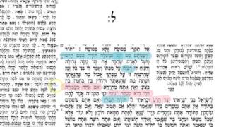 2 short talmud topics