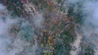 Hope has a place... Random footages shows the beauty of Shouf and Ehden Reserve at autumn season