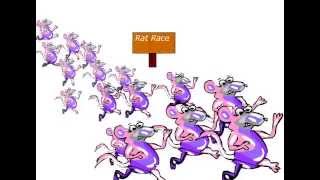 Rat Race (Even if you win you are still a rat)