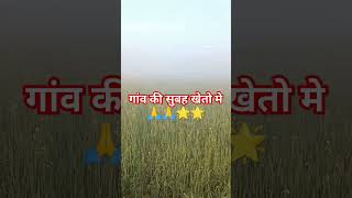 गांव की सुबह खेतो में। #shortsvideo #former #Mp #Panna