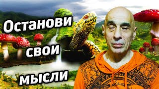 Cатсанг со Станиславом Милевичем / Остановить ум