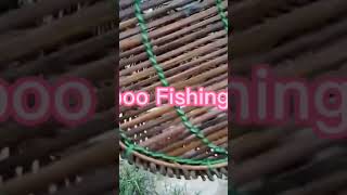 Amazing Bamboo Fishing Trap in my village #shorts