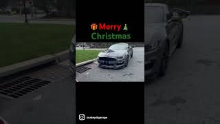 #merrychristmas #gt350 #s550 #shelby #ford #mustang #santa #americanmuscle