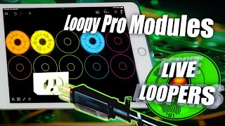 What is a Loopy Pro Module?  And what can it do for you?