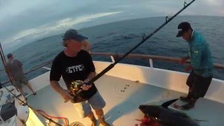 Apollo Sportfishing - Puerto Vallarta - Nuevo Vallarta - Teaser Video