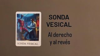 CLASE 8 -  BOTIQUÍN FUTURISTA DE AUXILIOS EMOCIONALES-Sonda vesical