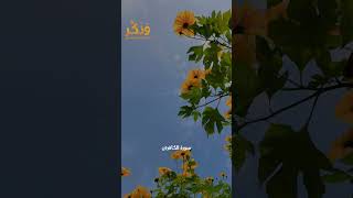 سورة الكافرون بصوت القارئ ماهر المعيقلي #حالات واتس  #quran #shorts