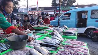 Pasar Kramat Jati Jakarta Timur Mencari SeaFood Segar #part 1