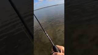 Massive South Texas Redfish!! #throwback