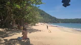 PRAIA com MUITO BORRACHUDO em  Ubatuba #ubatuba#caraguatatuba##ilhabella#litoralnorte#martindesa