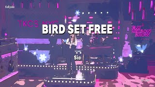 Kellyoke | Bird Set Free (Sia)