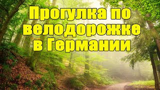 Прогулка по велодорожке в лесу Германии. Красивая природа.