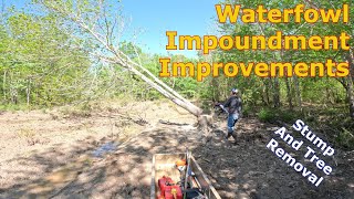 Stump Removal Day | Waterfowl Impoundment Improvements